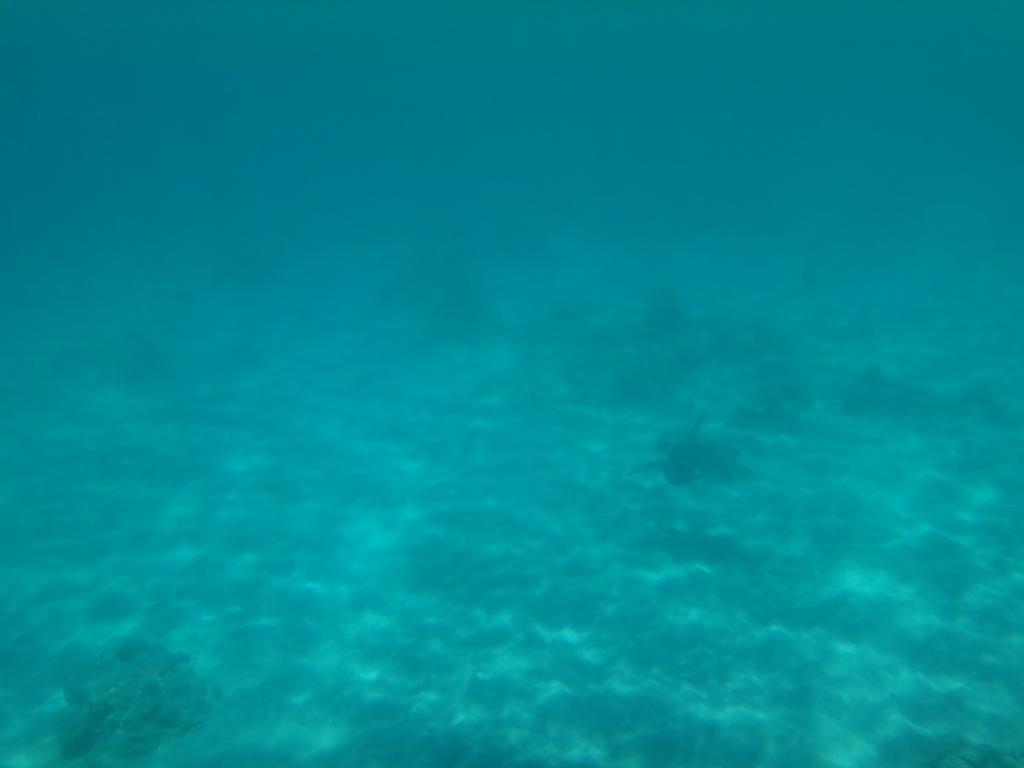 Wera Beach Kadumbul Exterior foto